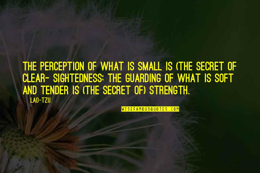 Her When She's Mad Quotes By Lao-Tzu: The perception of what is small is (the