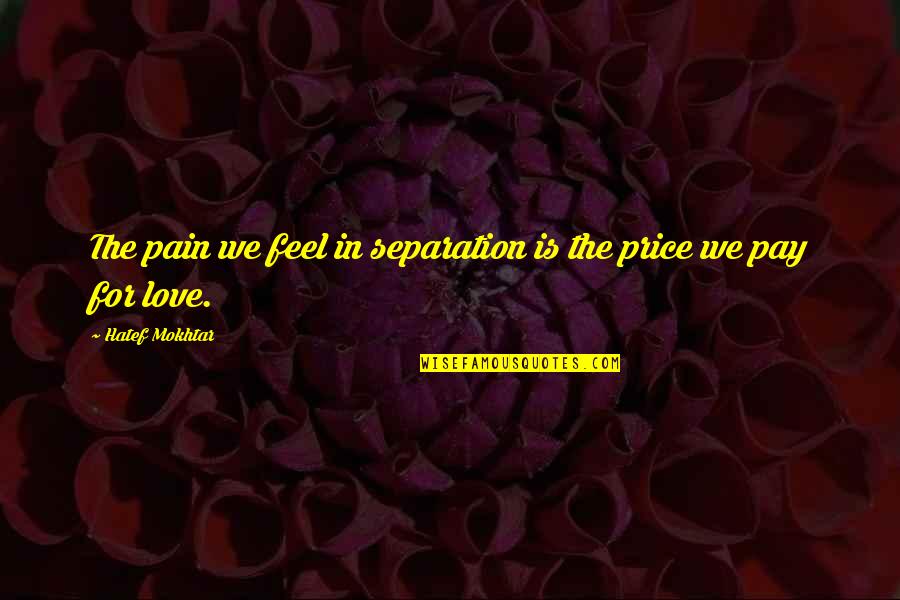 Herakleitos Logos Quotes By Hatef Mokhtar: The pain we feel in separation is the