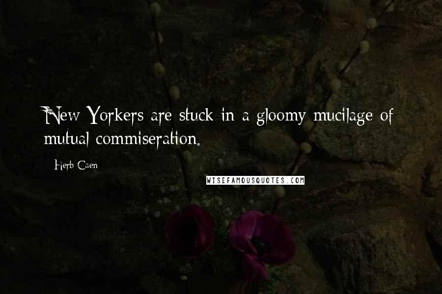 Herb Caen quotes: New Yorkers are stuck in a gloomy mucilage of mutual commiseration.