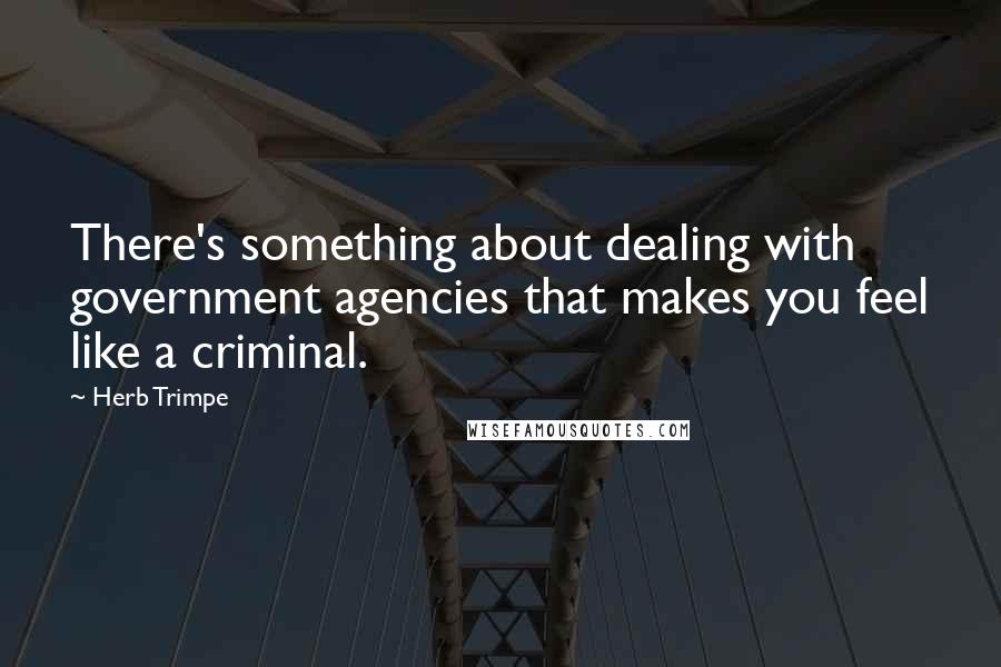 Herb Trimpe quotes: There's something about dealing with government agencies that makes you feel like a criminal.