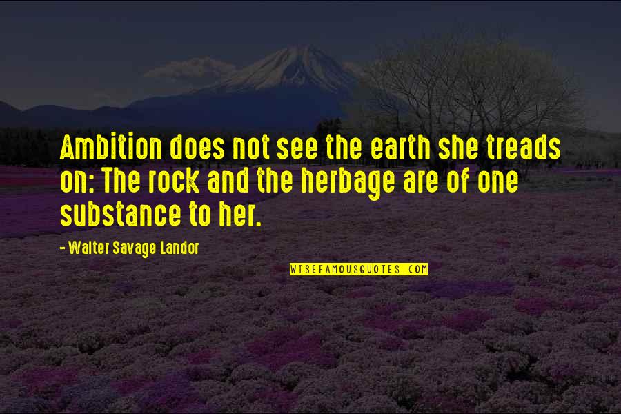 Herbage Quotes By Walter Savage Landor: Ambition does not see the earth she treads