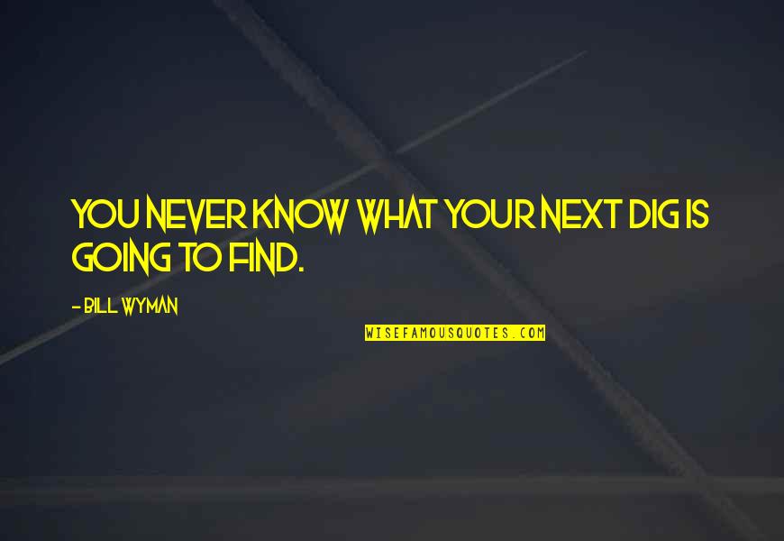 Herbert George Wells Quotes By Bill Wyman: You never know what your next dig is