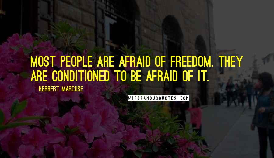 Herbert Marcuse quotes: Most people are afraid of freedom. They are conditioned to be afraid of it.