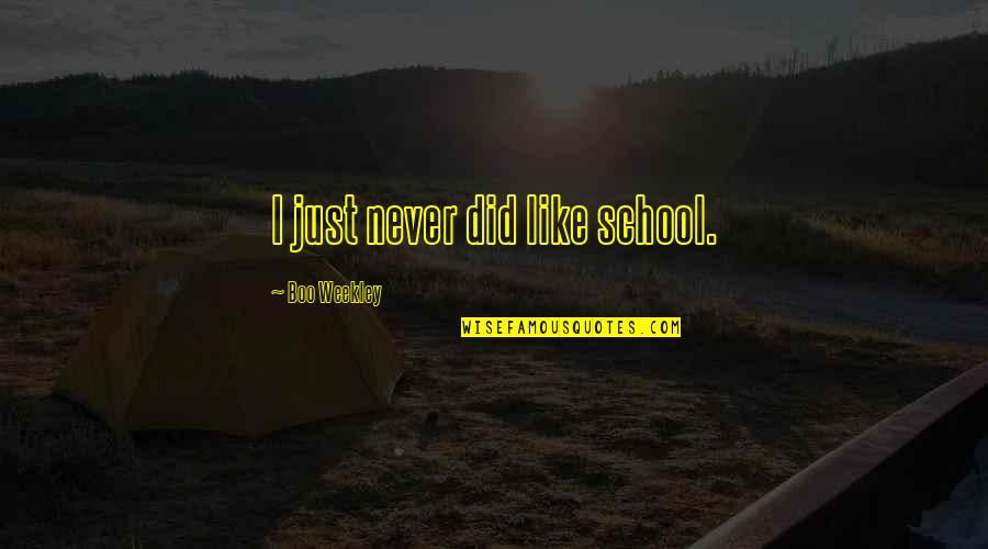 Herbertson Walker Quotes By Boo Weekley: I just never did like school.