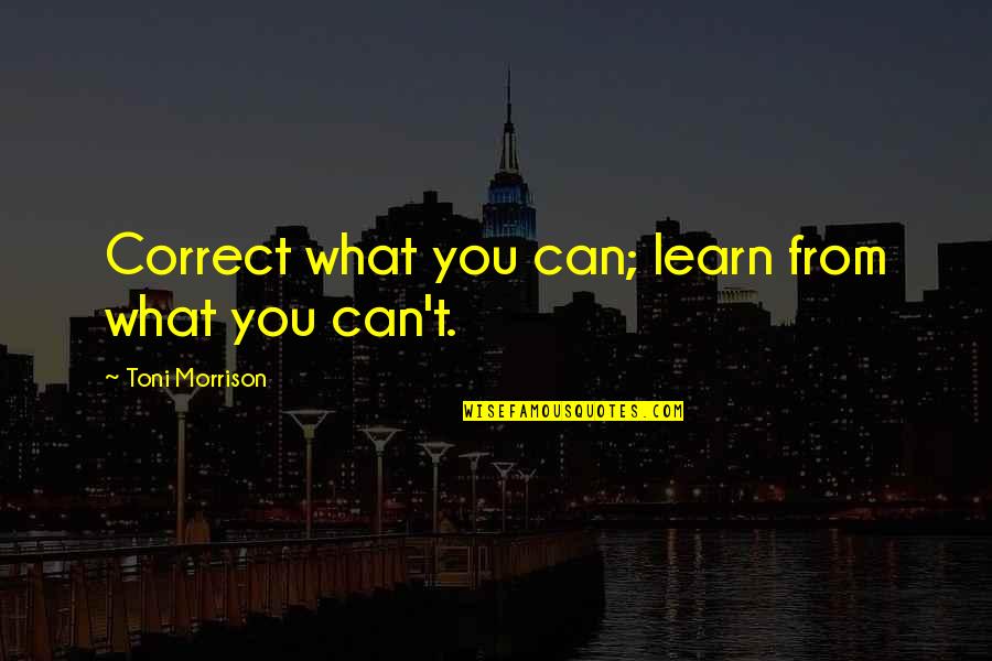 Herbie Hancock Quote Quotes By Toni Morrison: Correct what you can; learn from what you Herbie Hancock Quote Quotes By Toni Morrison: Correct what you can; learn from what you
