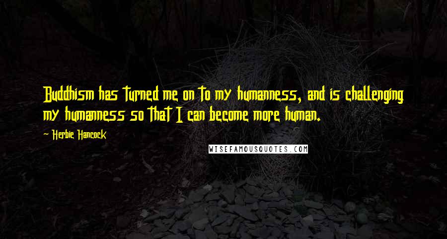 Herbie Hancock quotes: Buddhism has turned me on to my humanness, and is challenging my humanness so that I can become more human. Herbie Hancock quotes: Buddhism has turned me on to my humanness, and is challenging my humanness so that I can become more human.