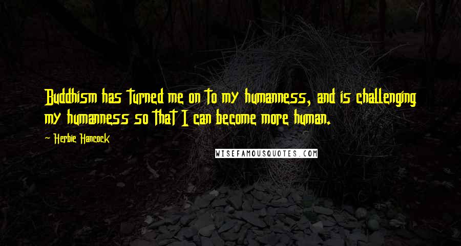 Herbie Hancock quotes: Buddhism has turned me on to my humanness, and is challenging my humanness so that I can become more human.