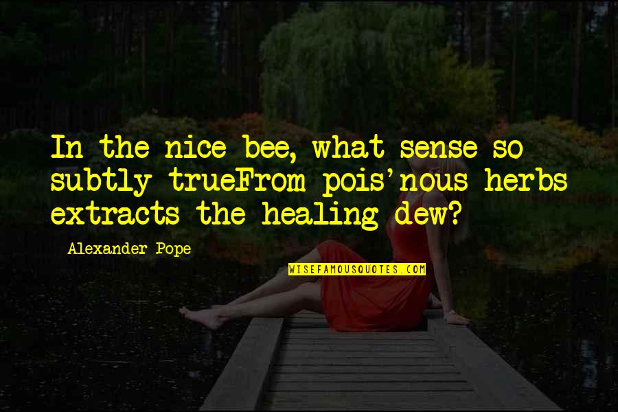 Herbs And Healing Quotes By Alexander Pope: In the nice bee, what sense so subtly