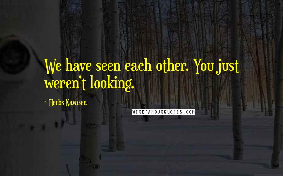 Herbs Navasca quotes: We have seen each other. You just weren't looking.