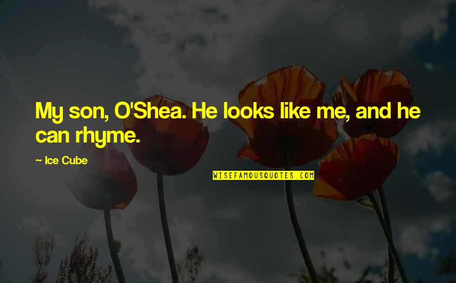 Hercule Poirot Moustache Quotes By Ice Cube: My son, O'Shea. He looks like me, and
