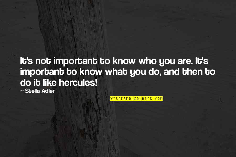 Hercules Quotes By Stella Adler: It's not important to know who you are.