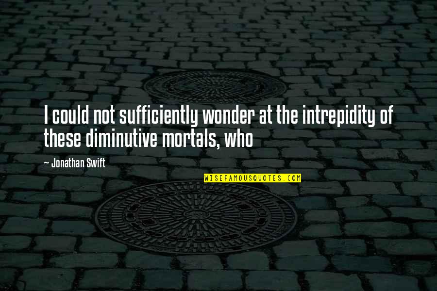 Hercules Unchained Quotes By Jonathan Swift: I could not sufficiently wonder at the intrepidity