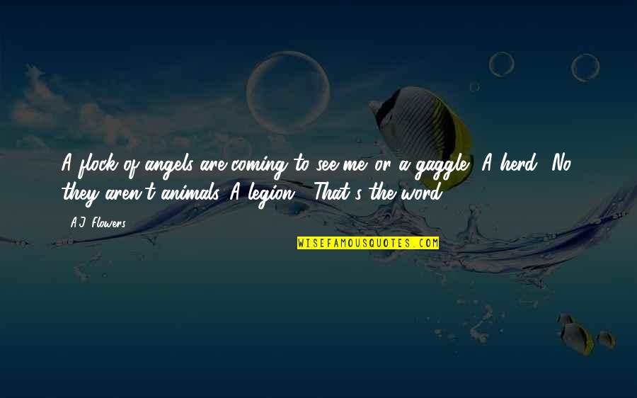 Herd Animals Quotes By A.J. Flowers: A flock of angels are coming to see Herd Animals Quotes By A.J. Flowers: A flock of angels are coming to see