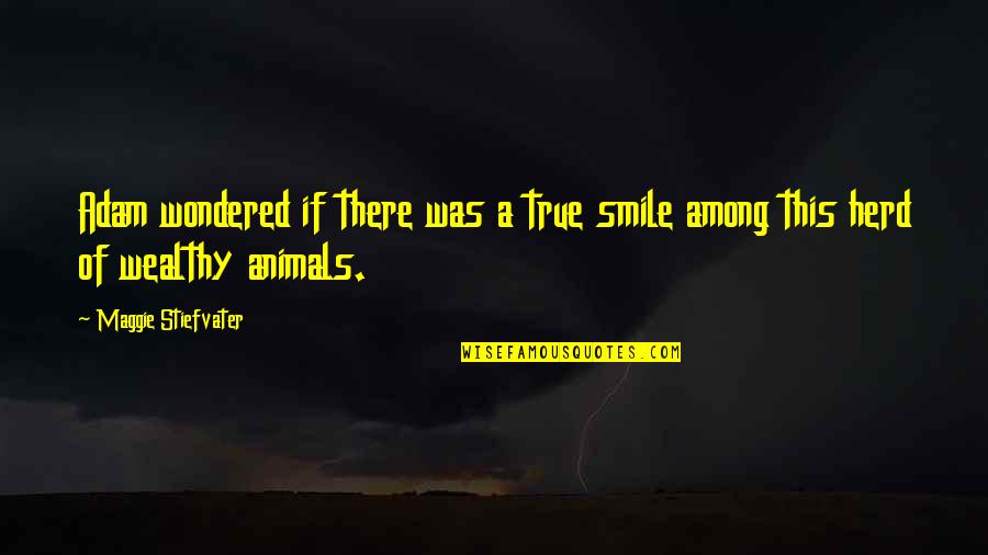 Herd Animals Quotes By Maggie Stiefvater: Adam wondered if there was a true smile Herd Animals Quotes By Maggie Stiefvater: Adam wondered if there was a true smile