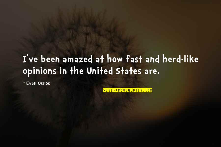Herd Quotes By Evan Osnos: I've been amazed at how fast and herd-like