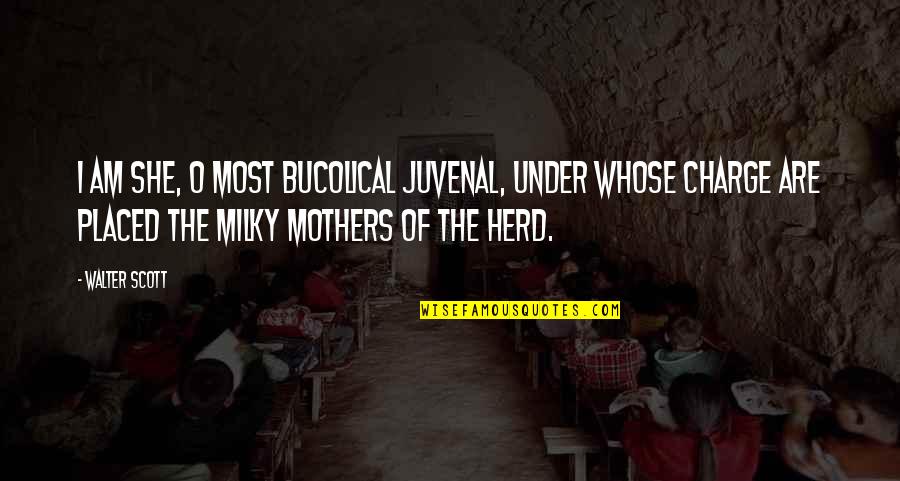 Herd Quotes By Walter Scott: I am she, O most bucolical juvenal, under