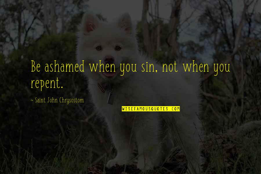 Herdis Stefansdottir Quotes By Saint John Chrysostom: Be ashamed when you sin, not when you