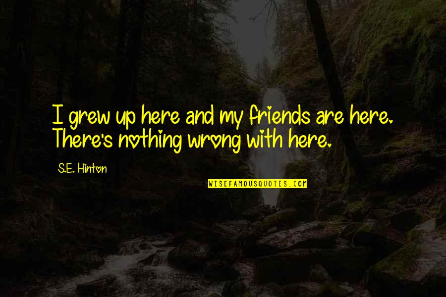 Here For My Friends Quotes By S.E. Hinton: I grew up here and my friends are