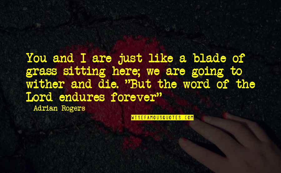 Here Forever Quotes By Adrian Rogers: You and I are just like a blade Here Forever Quotes By Adrian Rogers: You and I are just like a blade