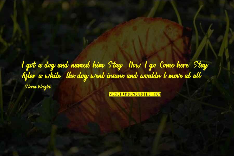 Here I Am Funny Quotes By Steven Wright: I got a dog and named him 'Stay'. Here I Am Funny Quotes By Steven Wright: I got a dog and named him 'Stay'.