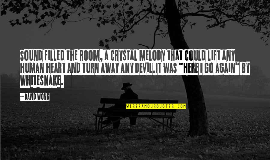 Here I Go Again On My Own Quotes By David Wong: Sound filled the room, a crystal melody that