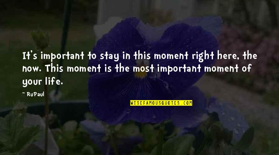 Here In The Moment Quotes By RuPaul: It's important to stay in this moment right