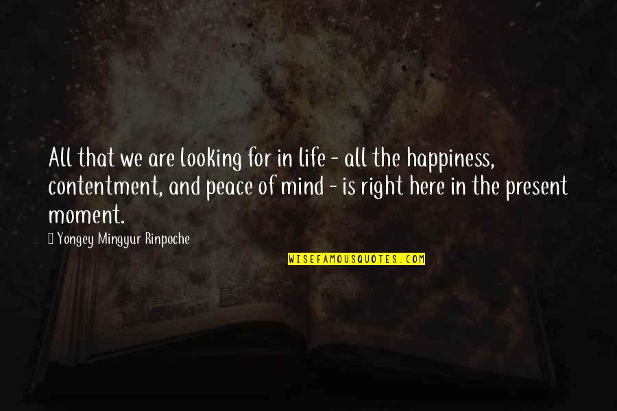 Here In The Moment Quotes By Yongey Mingyur Rinpoche: All that we are looking for in life