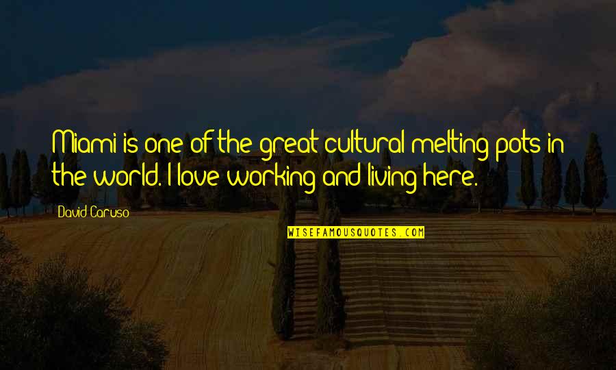 Here Is The World Quotes By David Caruso: Miami is one of the great cultural melting