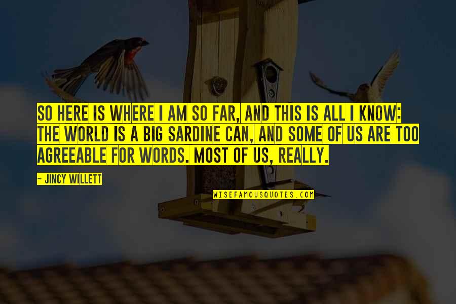 Here Is The World Quotes By Jincy Willett: So here is where I am so far,
