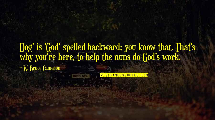 Here That Quotes By W. Bruce Cameron: Dog' is 'God' spelled backward; you know that.