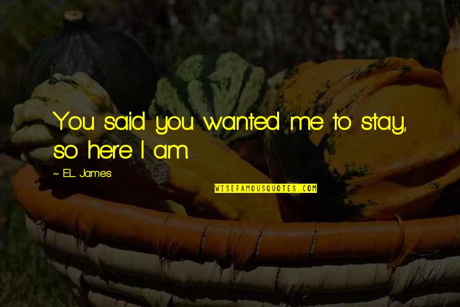 Here To Stay Quotes By E.L. James: You said you wanted me to stay, so