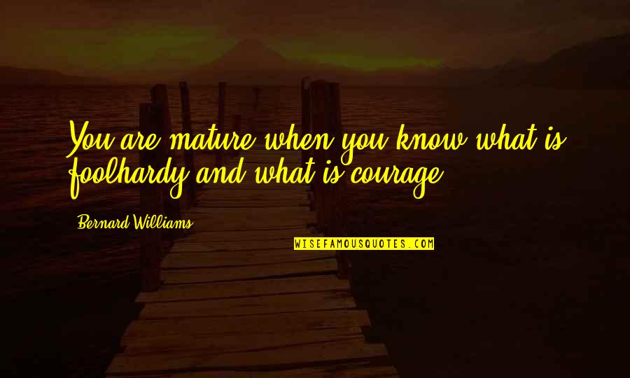 Herejes De Durango Quotes By Bernard Williams: You are mature when you know what is Herejes De Durango Quotes By Bernard Williams: You are mature when you know what is