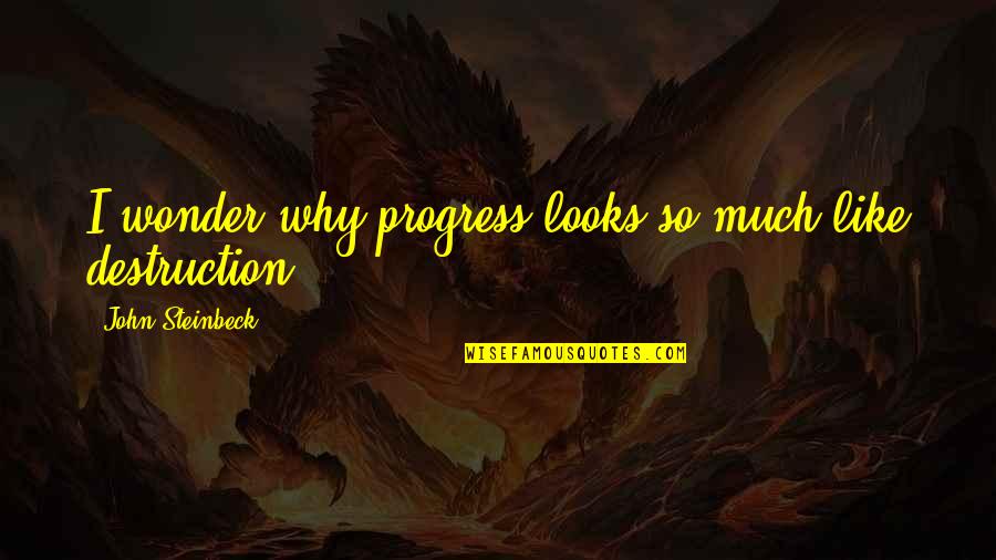 Herela Quotes By John Steinbeck: I wonder why progress looks so much like