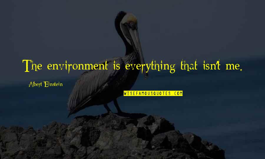 Heres Your Sign Quotes By Albert Einstein: The environment is everything that isn't me. Heres Your Sign Quotes By Albert Einstein: The environment is everything that isn't me.