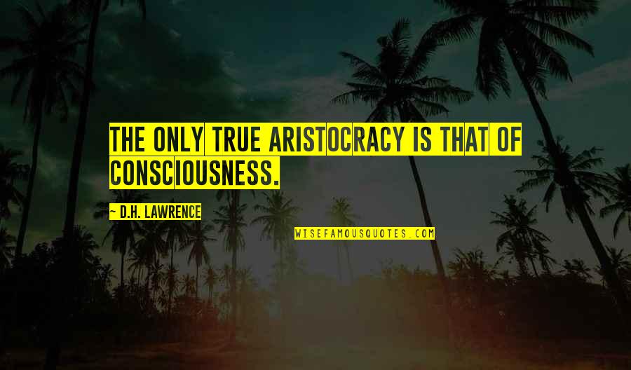 Heretic's Daughter Quotes By D.H. Lawrence: The only true aristocracy is that of consciousness.