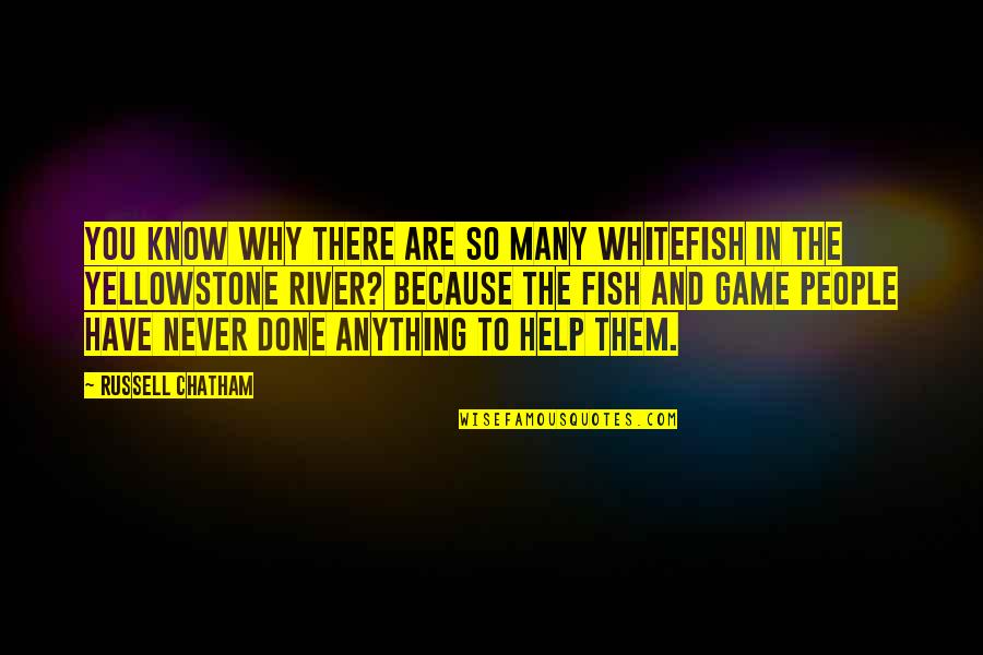 Hereunder Quotes By Russell Chatham: You know why there are so many whitefish Hereunder Quotes By Russell Chatham: You know why there are so many whitefish