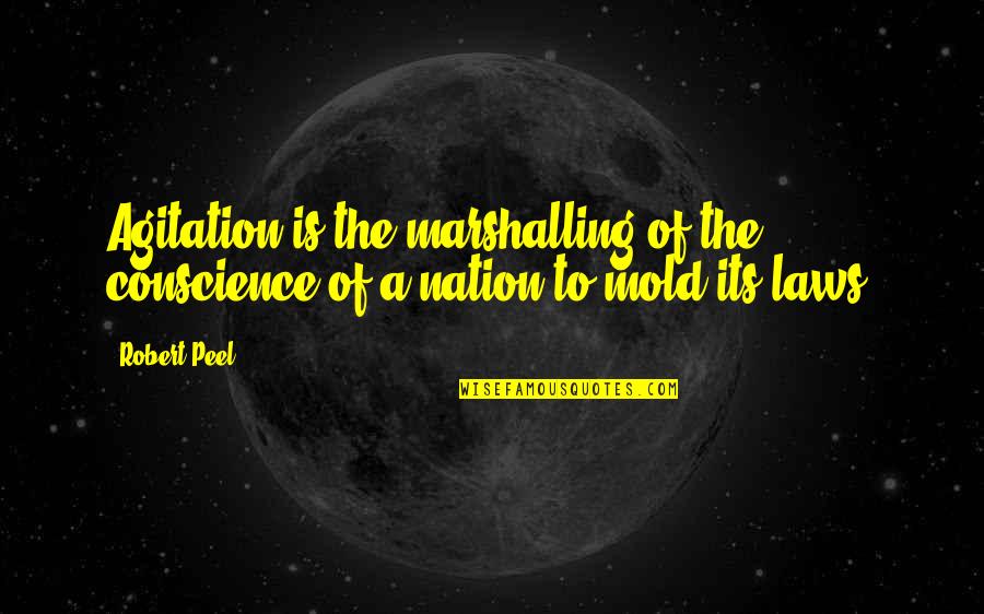 Herhaling Van Quotes By Robert Peel: Agitation is the marshalling of the conscience of