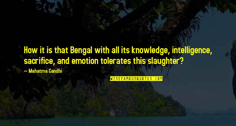 Herida Contusa Quotes By Mahatma Gandhi: How it is that Bengal with all its