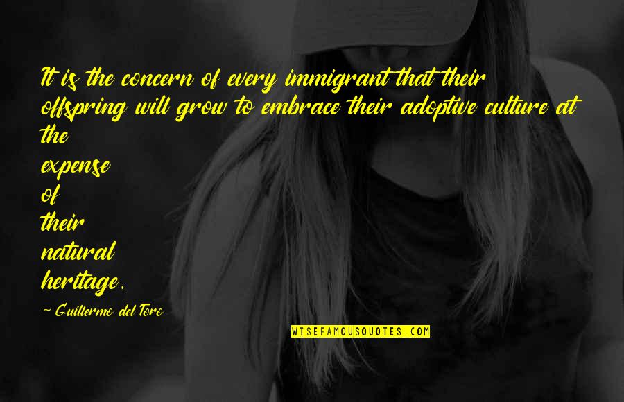 Heritage And Culture Quotes By Guillermo Del Toro: It is the concern of every immigrant that