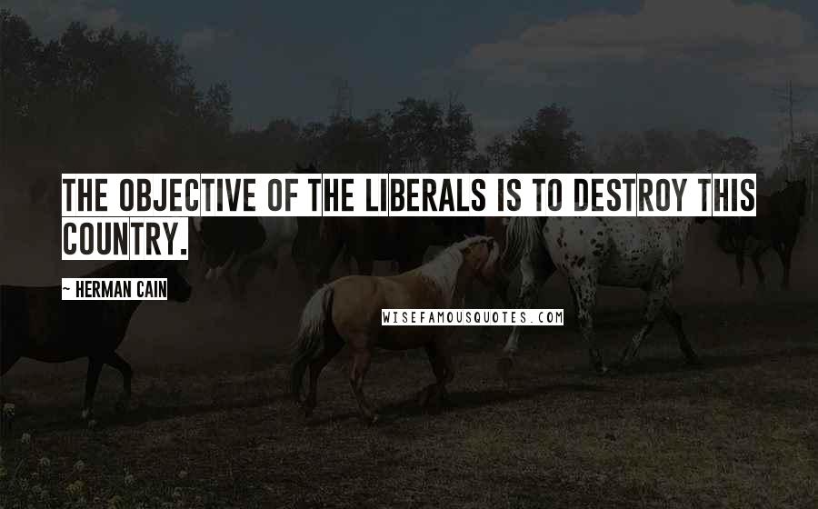 Herman Cain quotes: The objective of the liberals is to destroy this country.