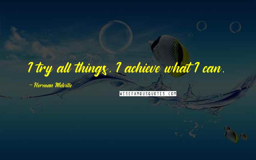 Herman Melville quotes: I try all things, I achieve what I can.