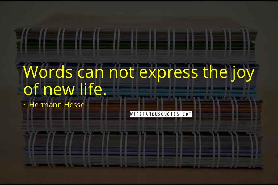 Hermann Hesse quotes: Words can not express the joy of new life.