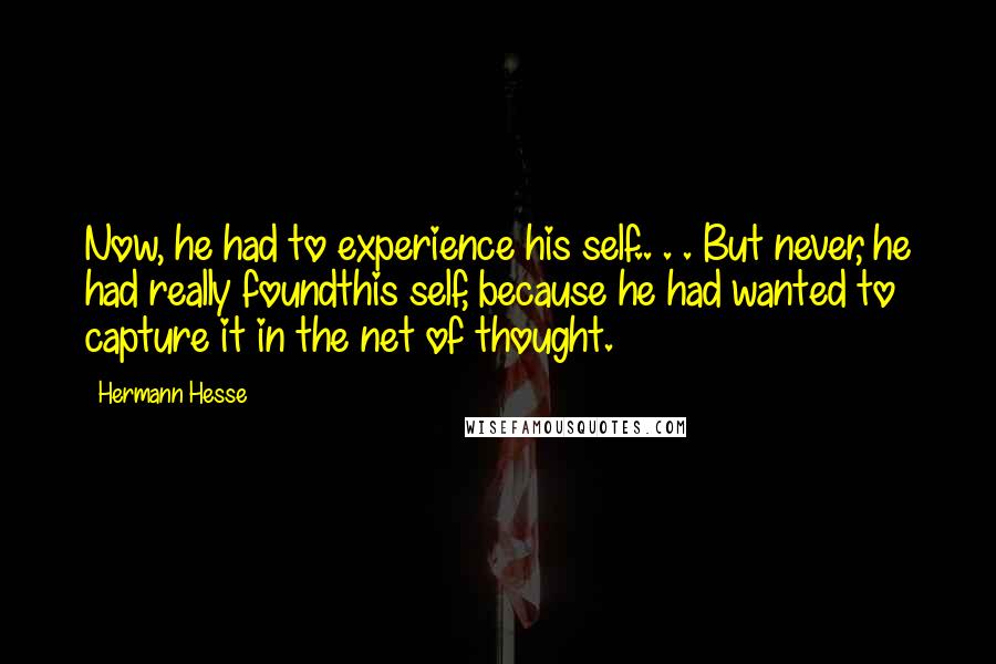 Hermann Hesse quotes: Now, he had to experience his self.. . . But never, he had really foundthis self, because he had wanted to capture it in the net of thought.
