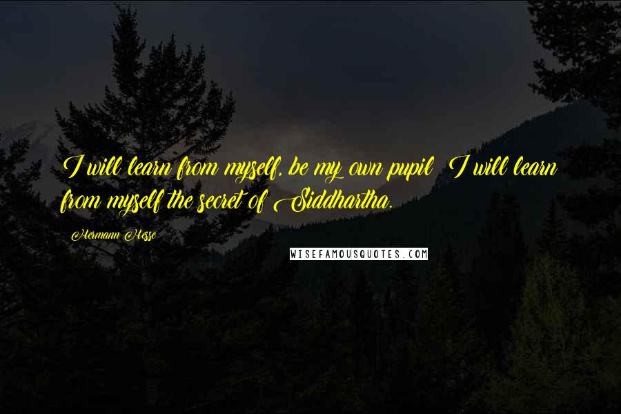 Hermann Hesse quotes: I will learn from myself, be my own pupil; I will learn from myself the secret of Siddhartha.