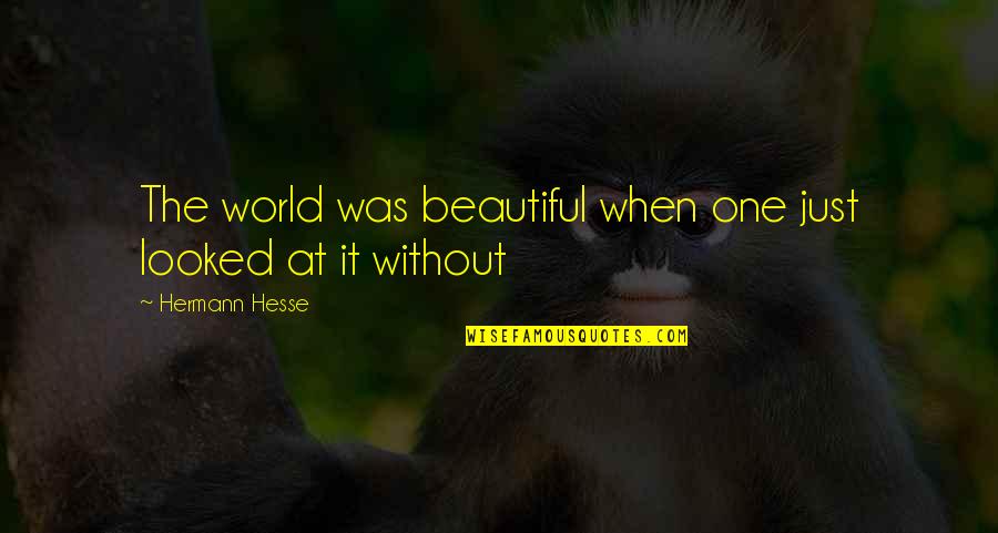 Hermann Hesse Quotes By Hermann Hesse: The world was beautiful when one just looked