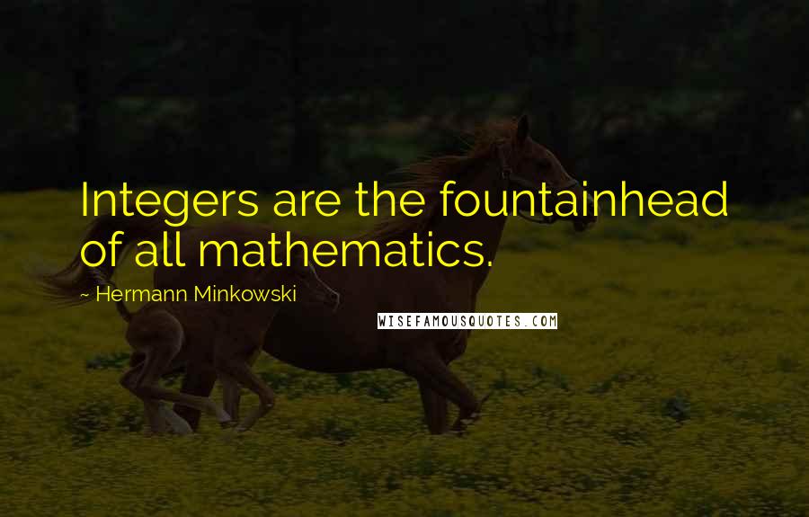 Hermann Minkowski quotes: Integers are the fountainhead of all mathematics.