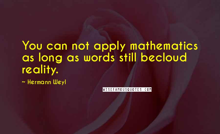 Hermann Weyl quotes: You can not apply mathematics as long as words still becloud reality.