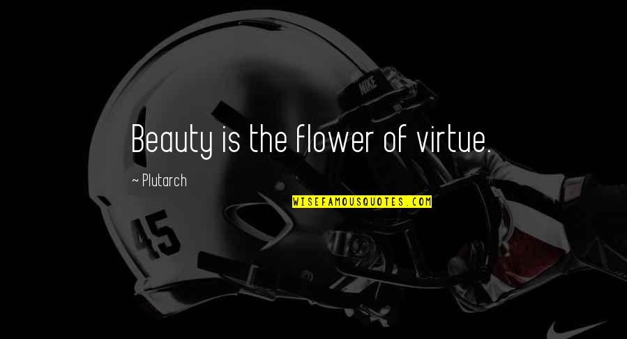 Hermetics Quotes By Plutarch: Beauty is the flower of virtue.