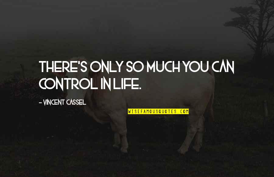Hermia And Lysander Quotes By Vincent Cassel: There's only so much you can control in Hermia And Lysander Quotes By Vincent Cassel: There's only so much you can control in