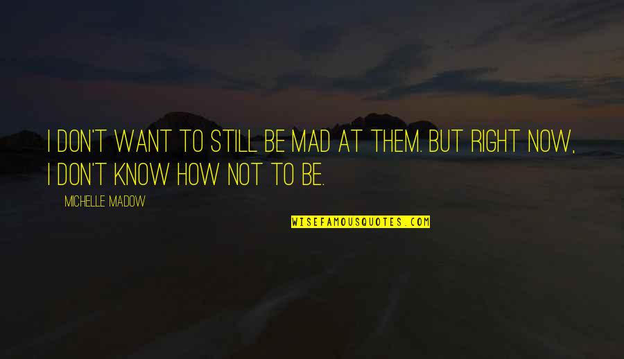 Hermits Of Bethlehem Quotes By Michelle Madow: I don't want to still be mad at